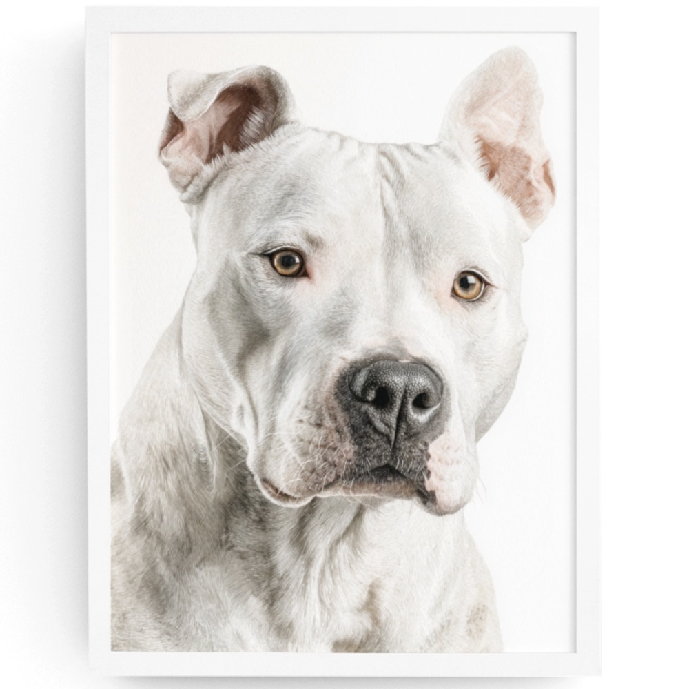 American White Pit Bull Terrier Watercolor Wall Art Print Poster - Unframed